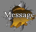 Pas de nouveaux messages [ Populaire ]