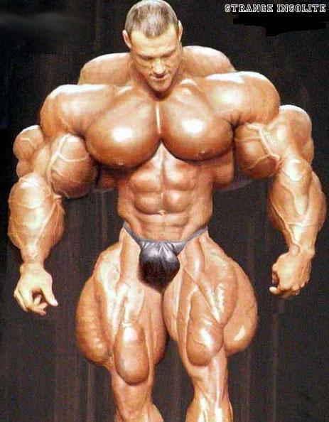 Mr Olympia 1995 prejudging Gonfle11