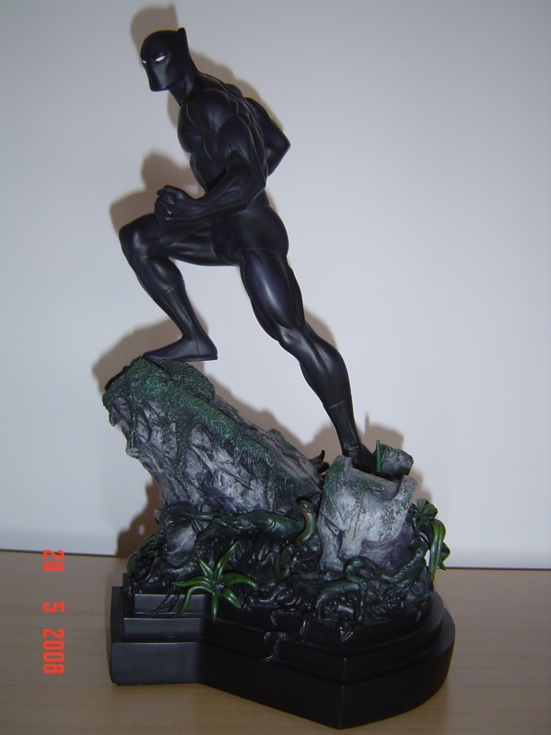 PANTHERE NOIRE "classic" (Black Panther) Dsc00820
