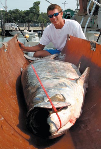 Huge tarpon weighed Zieman10