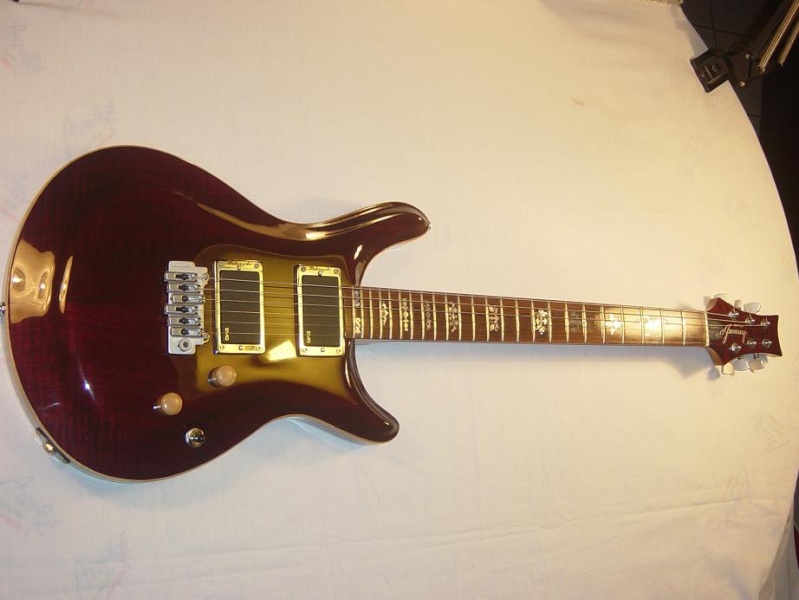 Guitarras de Luthier y Custom Shop. Fotos y reviews - Pgina 8 Dsc00028