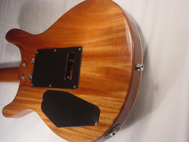 Guitarras de Luthier y Custom Shop. Fotos y reviews - Pgina 8 Dsc00031