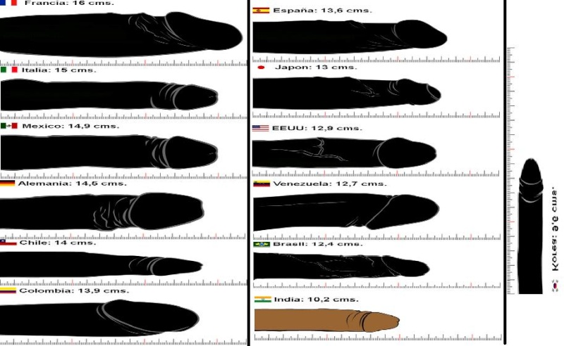 CONOCE LAS MEDIDAS DE PENES DEL MUNDO Dibujo10