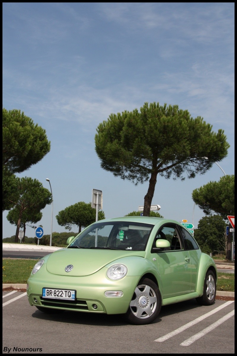 [44] Rencard VW de Saint-Nazaire,New  Photos P 13 !!!!! - Page 4 Img_1014