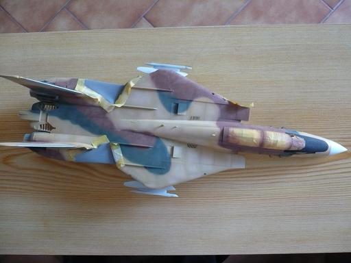 F14A Tomcat  [HASEGAWA] 1/48 F14_de10