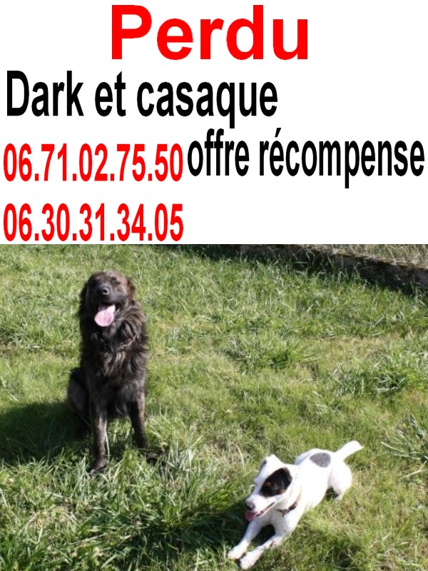 Dark et Casaque on disparut. Sans_t10