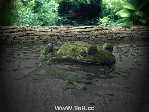 صور طبيعية  رسم ثلاثي الابعاد Frogpo10