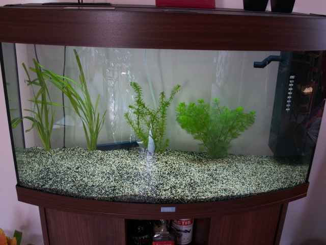 Mon nouveau aquarium de 180 L Aqua1_10