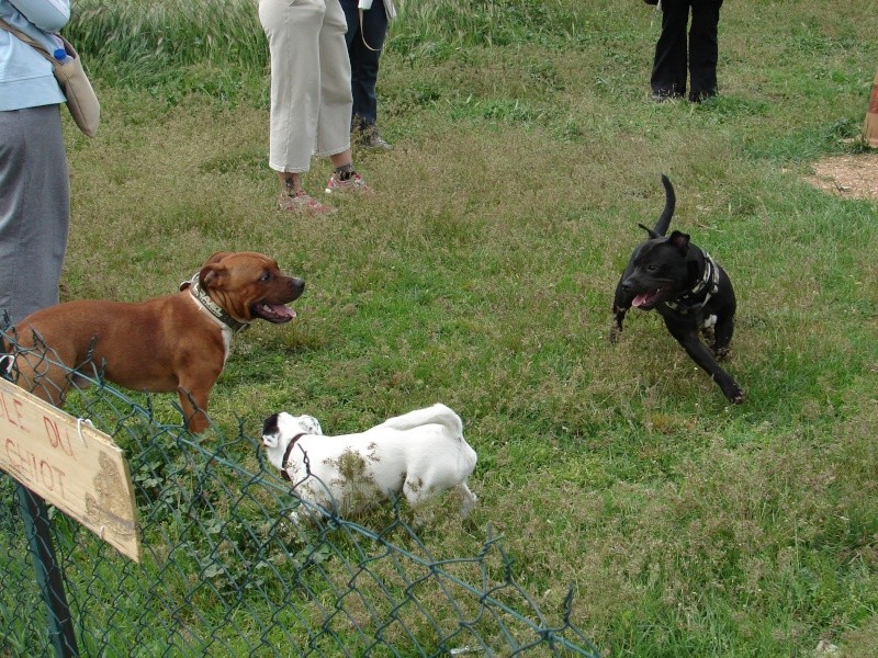 Rencontre Krypto Gay-z Dsc02924