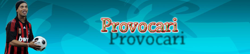 Provocari