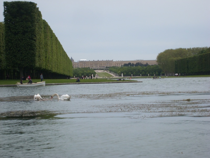 Le Grand Canal  Bagate54