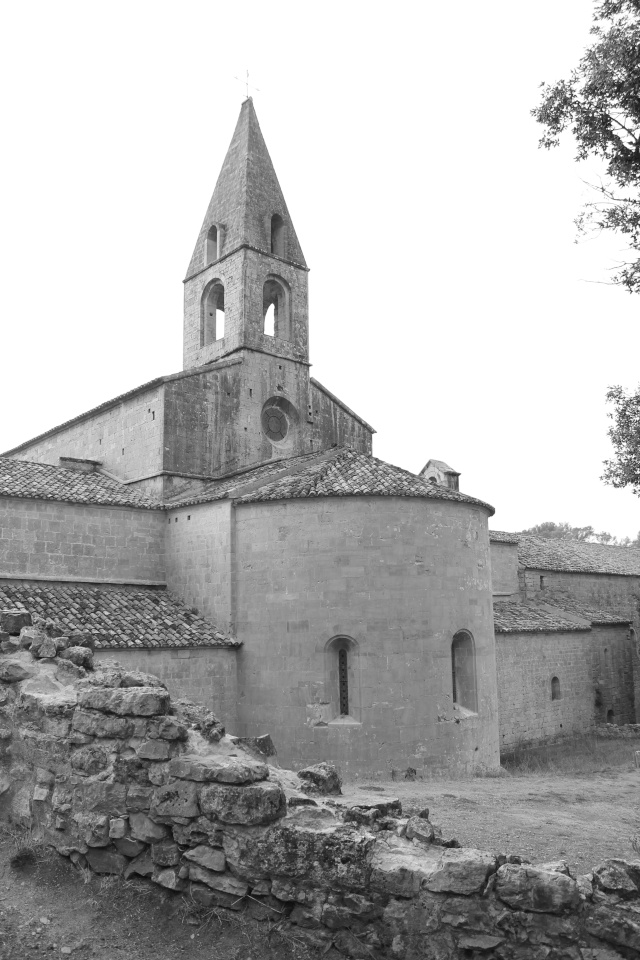 Abbaye du Thoronet (Var) Thoron14