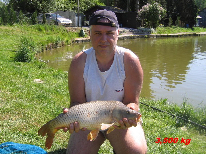 Jean-Pierre : 2eme et 3eme hobby Img_2610