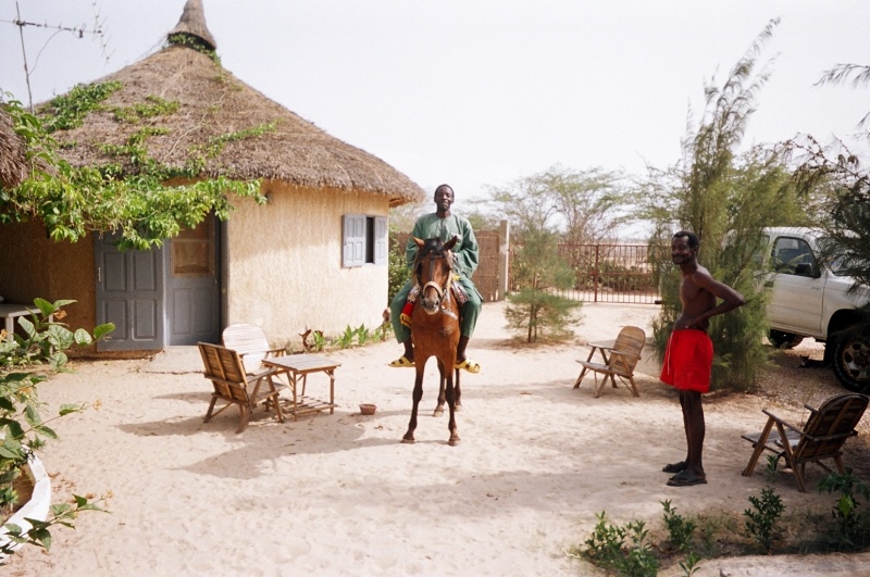 Afrique, Sénégal, Saint-Louis, Gandiol, brousse, vivre - Page 3 Cheval12