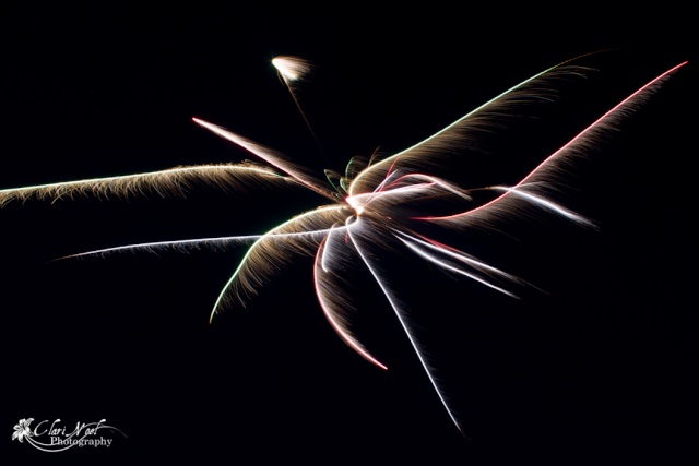 Firework madness 20110713