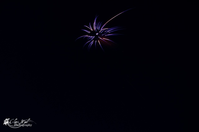 Firework madness 20110714