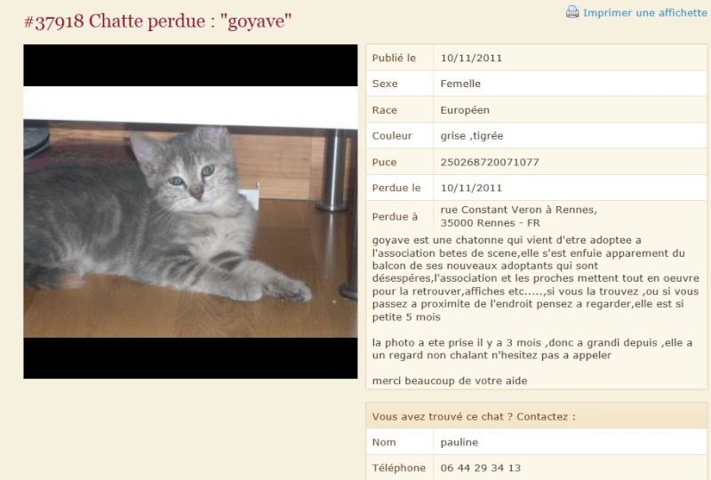 URGENT GOYAVE S'EST ENFUIE !! Goyave10