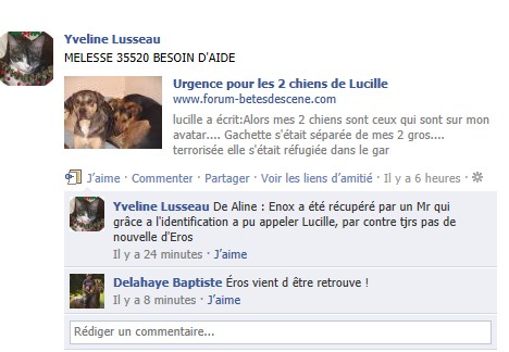 Urgence pour les 2 chiens de Lucille Mur_b10