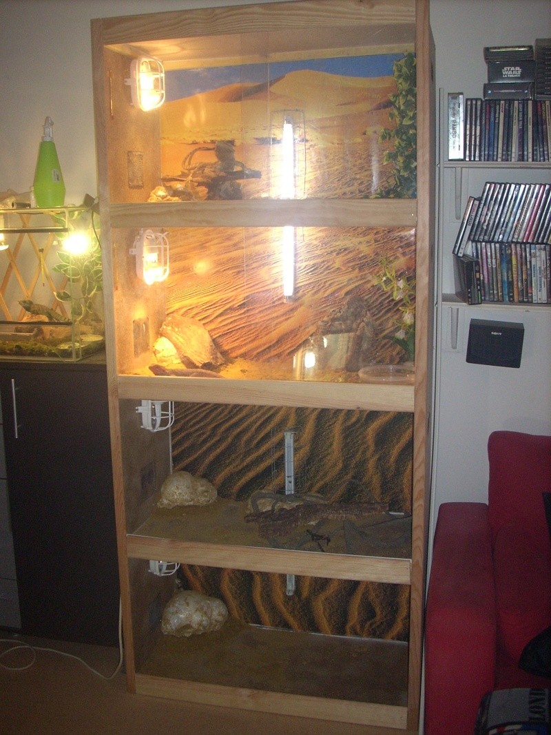 2eme batterie de terra pogona addams family Photo_14
