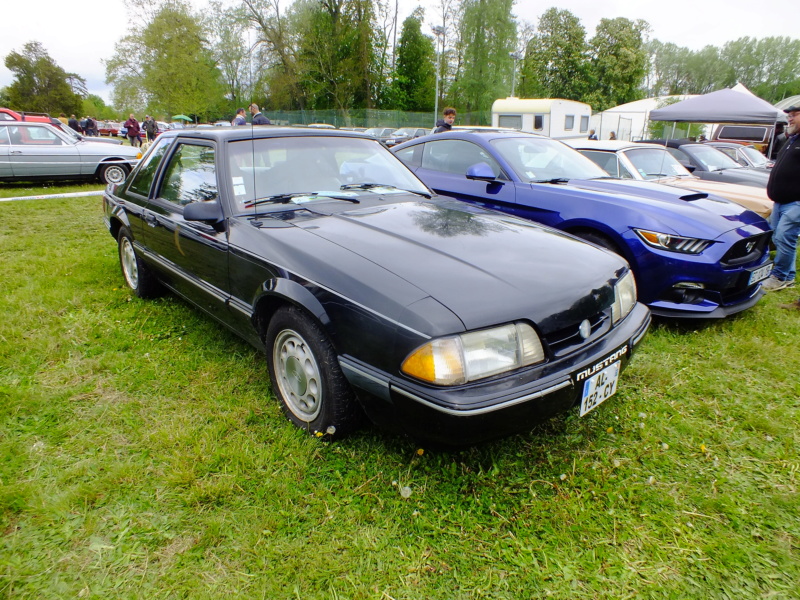 Expo de Vignoles dans le 21 édition 2019 Dscf4818