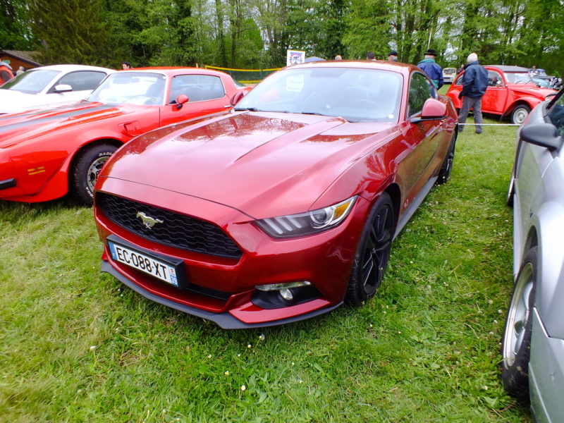 Expo de Vignoles dans le 21 édition 2019 en France Dscf4822