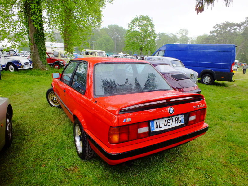 Expo de Vignoles dans le 21 édition 2019 Dscf4936