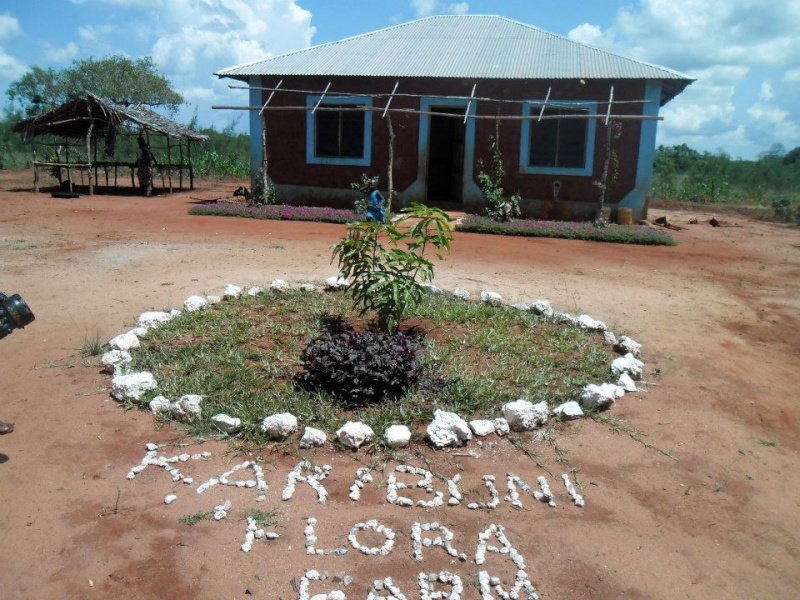 Kenya  Karibuni Onlus  Flora_10