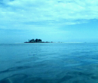 Pulau Sagori Bakauu10