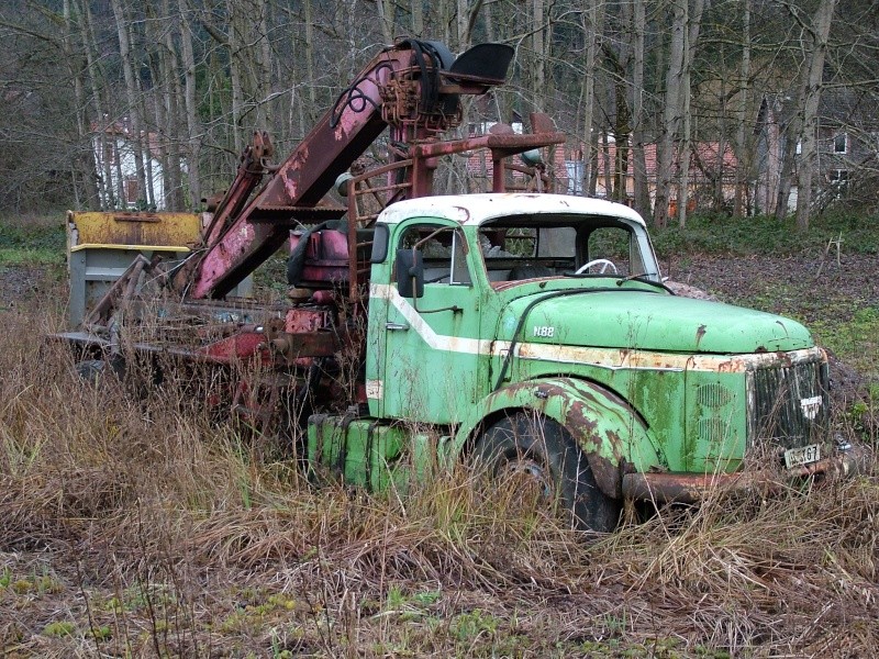 Pas de Momog.. Grue10