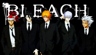 Recensement Bleach10