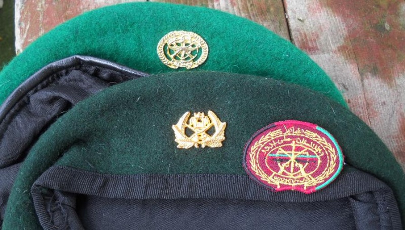 Afghan Beret Badges Dscn2521