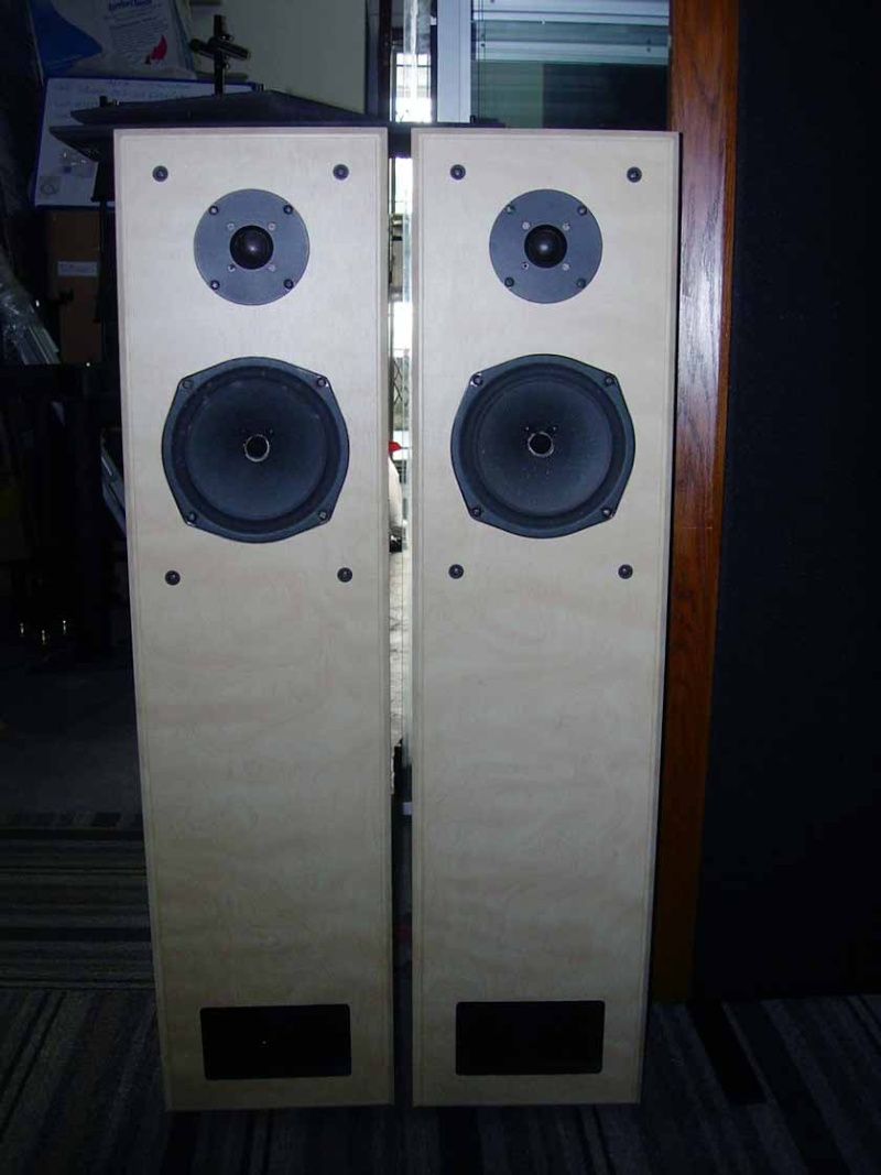 Loth-X Ion 2 floorstanding speaker (Used) Loth-x10