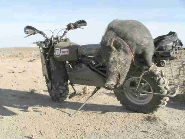 Une moto pour Francesco? Rokonp10