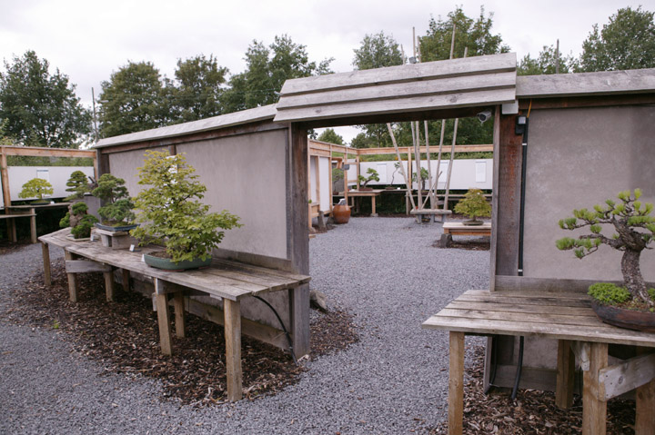A visit to Werner Busch's bonsai museum in Düsseldorf Ibc09211
