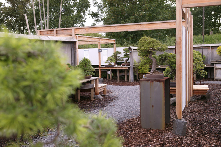 A visit to Werner Busch's bonsai museum in Düsseldorf Ibc09215