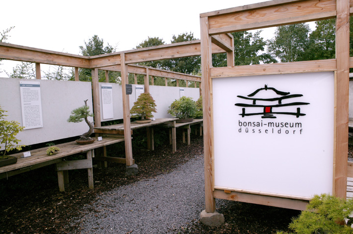 A visit to Werner Busch's bonsai museum in Düsseldorf Ibcwbb11