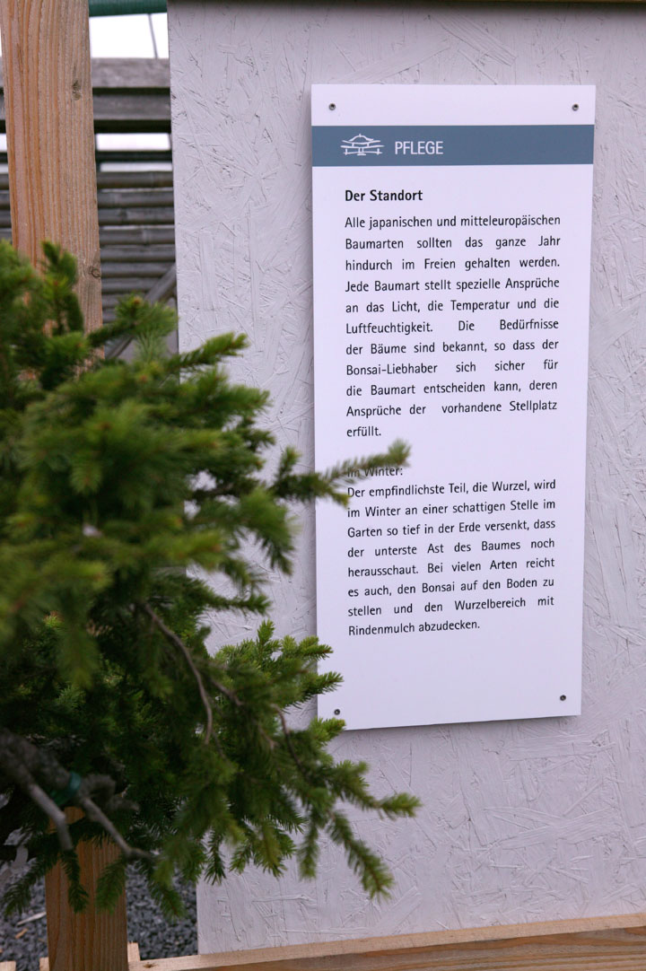 A visit to Werner Busch's bonsai museum in Düsseldorf Ibcwbb15