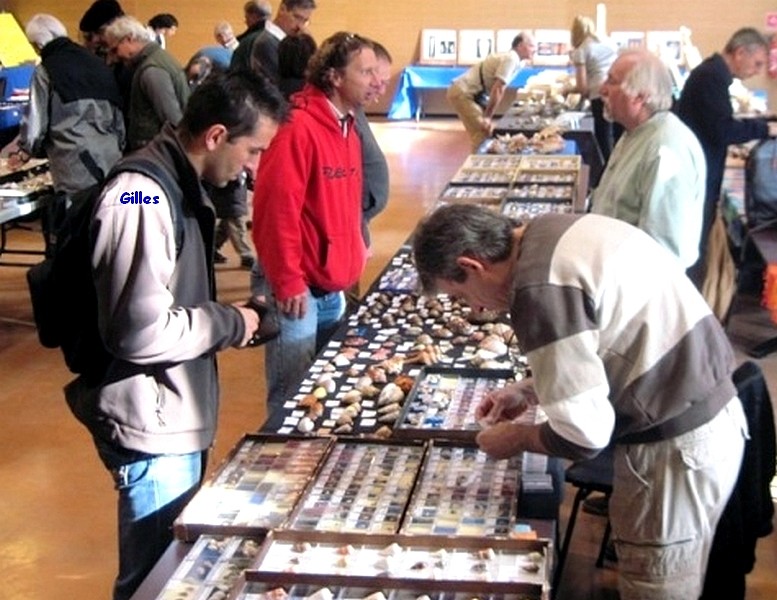 2011 Bourse de Toulouges / Perpignan - 22 & 23 octobre Toulou11