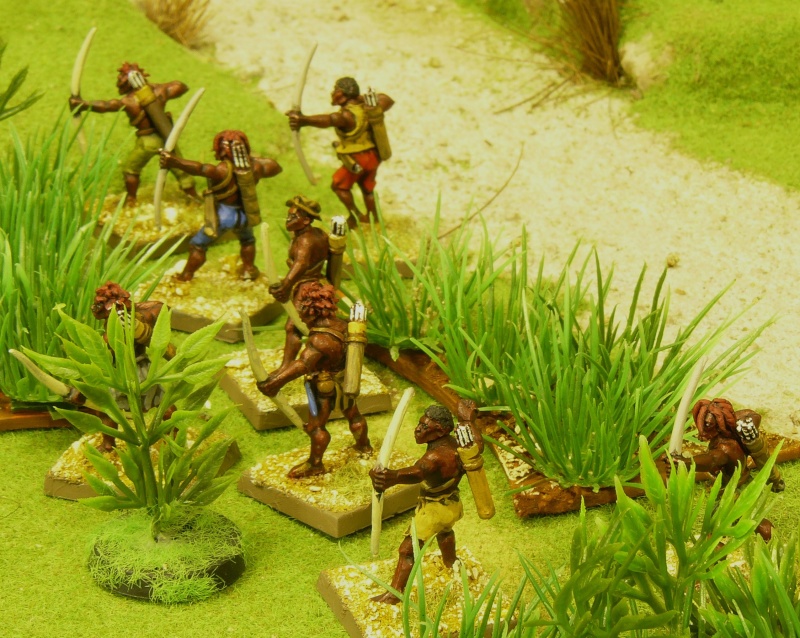 L'armée des Pirates pour Warhammer Fantasy Battle P1150215