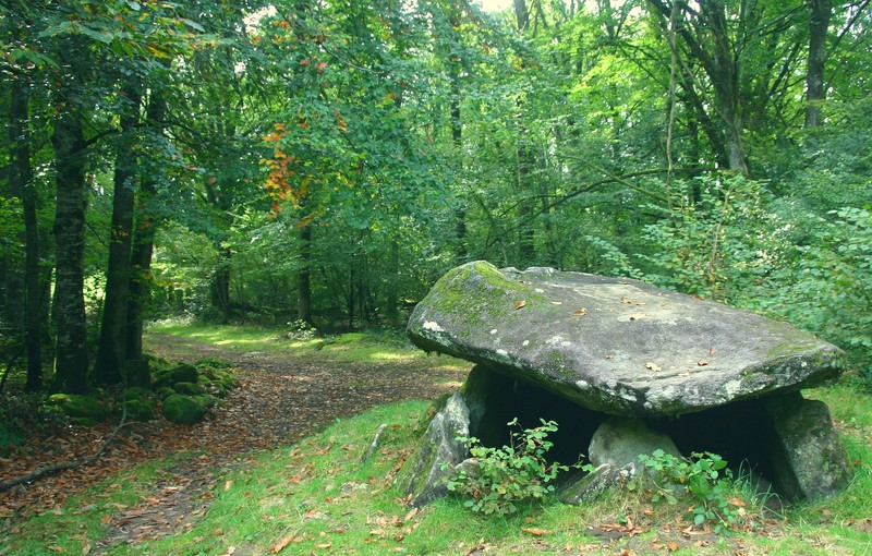 Mardi 27 décembre 2011 - Mon nom est Personne - entre St Georges la Pouge et St Sulpice les champs Dolmen10