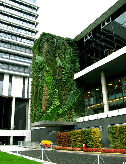 Patrick Blanc, l'homme des murs végétaux Hotel_10