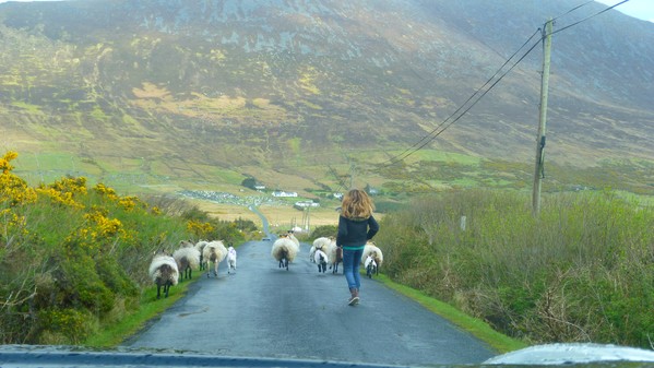 Achill Island / Irlande Irl1310
