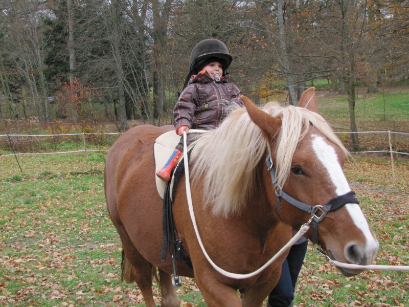 Concours photo du mois de septembre : le cheval et l'enfant 06_11_10