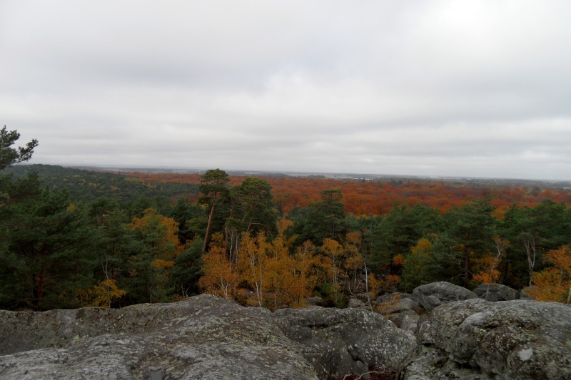 Randonnée à Fontainebleau le 11-11-2012 Sam_1155