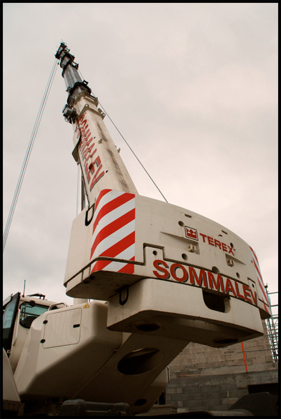 Les grues de SOMMALEV (France) Sommal13