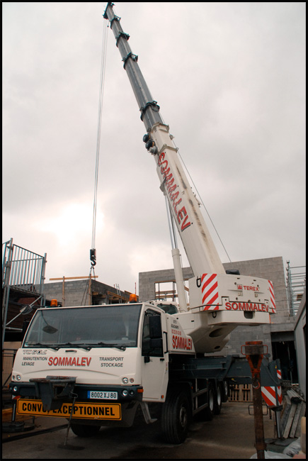 Les grues de SOMMALEV (France) Sommal15