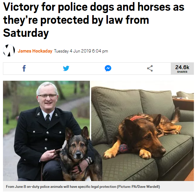 Victory for police dogs and horses as they're protected by law from Saturday 189