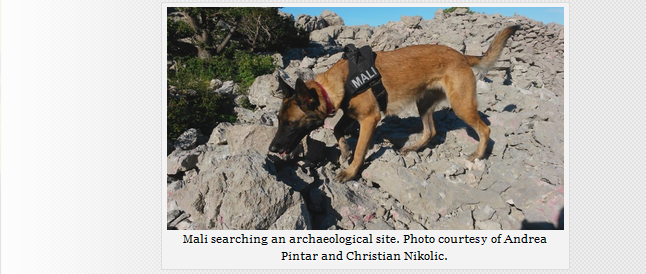 Archaeology Dogs: Cadaver Dogs on a 700 BC site 422