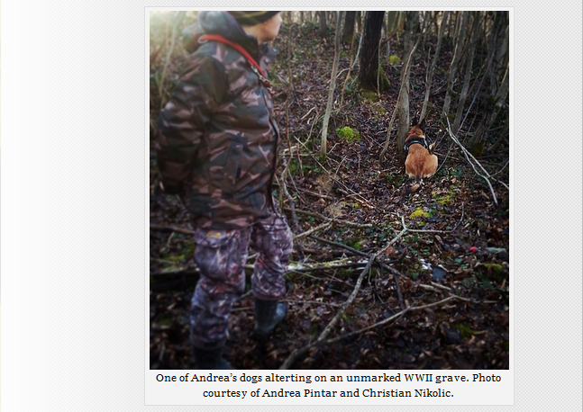 Archaeology Dogs: Cadaver Dogs on a 700 BC site 713