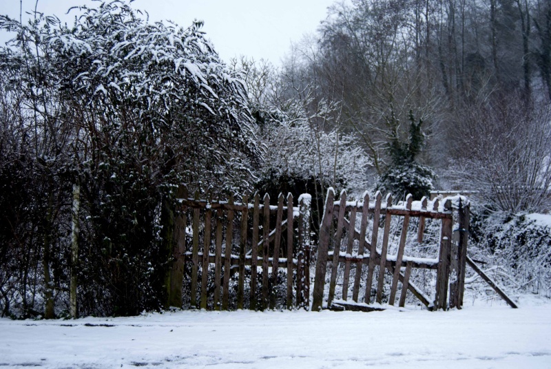 Image imposée N°44 : Paysage enneigé Neige10